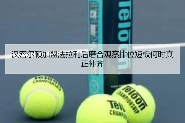 han-mi-er-dun-jia-meng-fa-la-li-hou-mo-he-guan-cha-pai-wei-duan-ban-he-shi-zhen-zheng-bu-qi-2-459.jpg