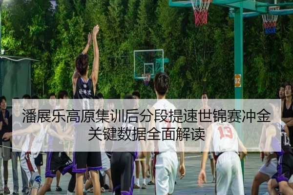 潘展乐高原集训后分段提速世锦赛冲金关键数据全面解读（nangong tiyu）